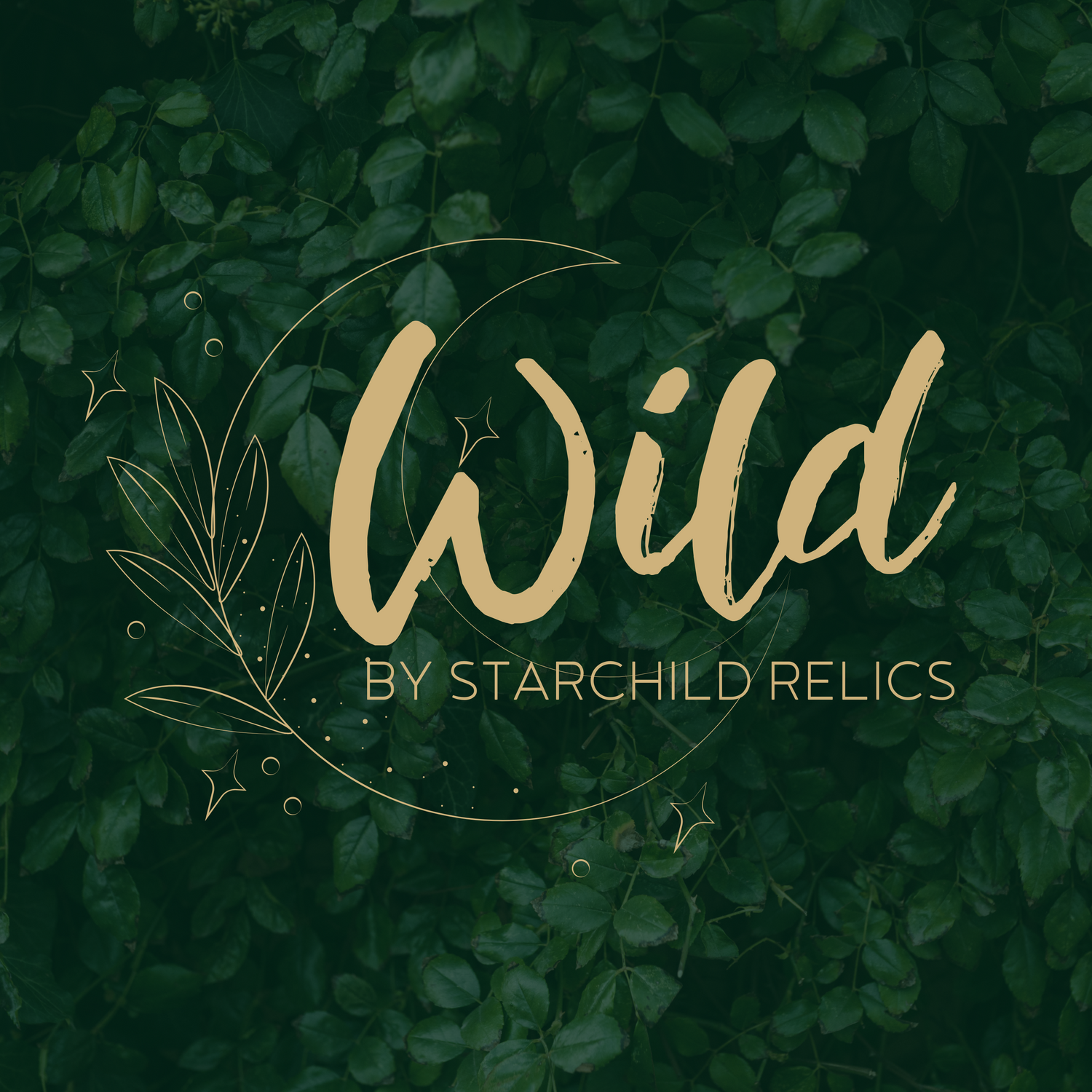 Wild by Starchild - Custom POD Canvas Totes